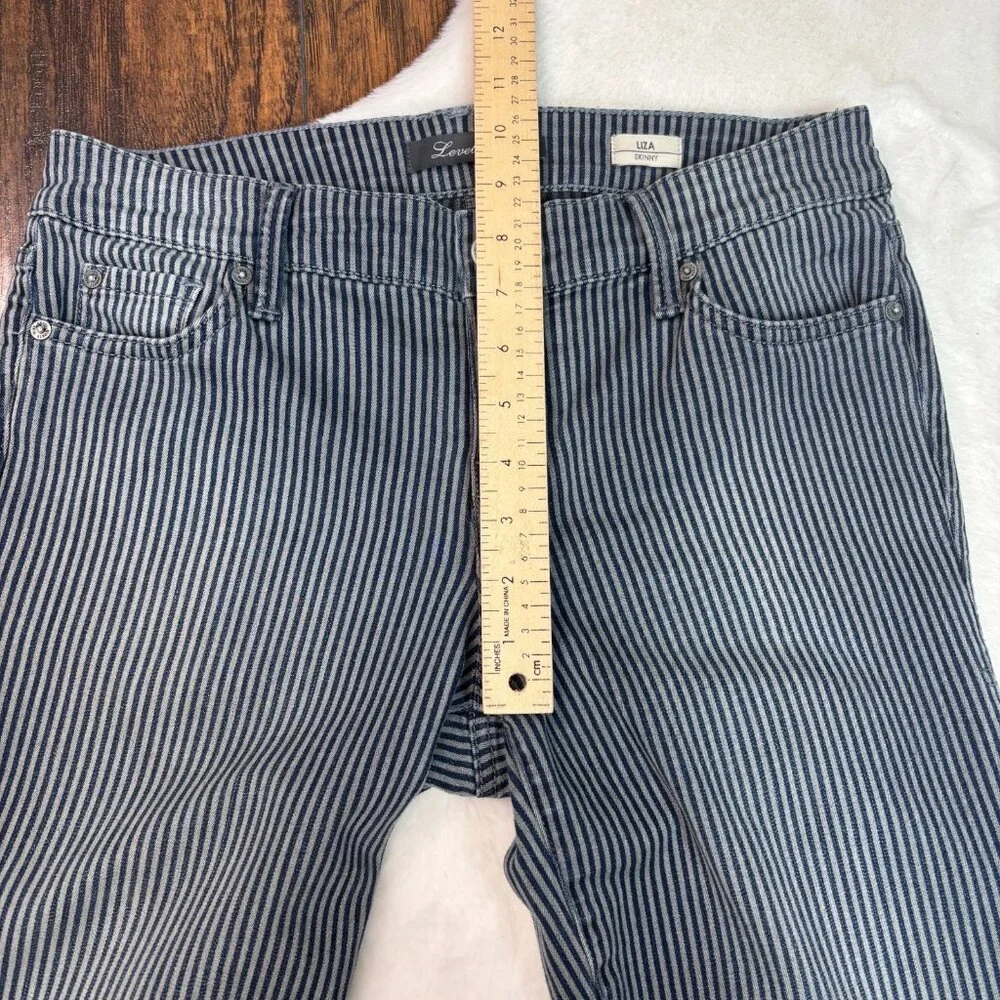 Level 99 Liza Skinny Jeans‎ 30 Striped Blue Gray Mid-Rise Stretch Women's